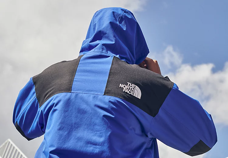 kurtki the north face