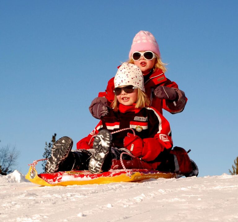 sweden-children-girls-sled-70448.jpeg